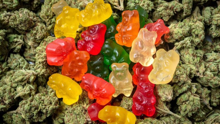 Relax from extreme pain with the consumption of CBD gummy                 